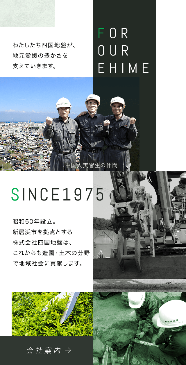 株式会社 四国地盤 ホームページ 公式 愛媛県新居浜市の造園土木求人